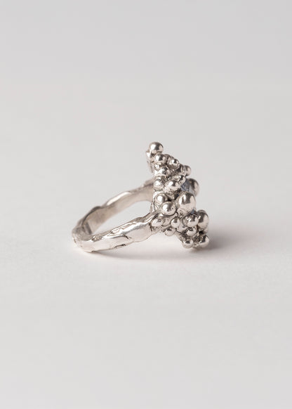 Anillo Bubble
