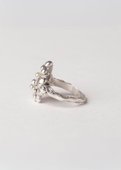 Anillo Lima